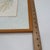 Margot Weemaes 1981 Beloperone Guttata Botanical Portfolio Print For Sale - Image 10 of 11