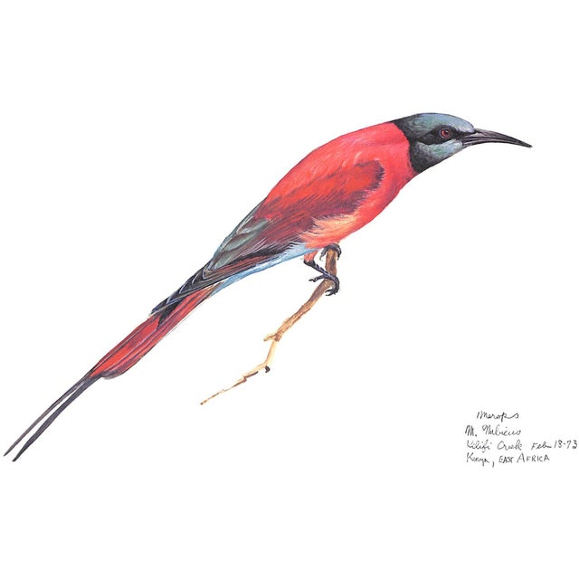 Traditional "Ray Harm's African Sketchbook" 1973 Harm, Ray For Sale - Image 3 of 12