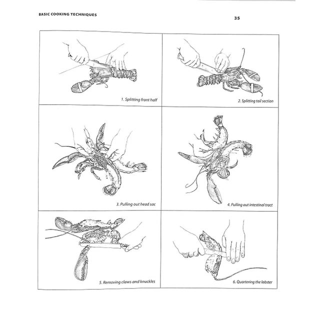 1990s "Lobster at Home" 1998 White, Jasper For Sale - Image 5 of 12