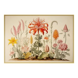 20' X 13.9' Framed Watercolor Botanical Print 'Hortus Floridus' Style Flowers For Sale