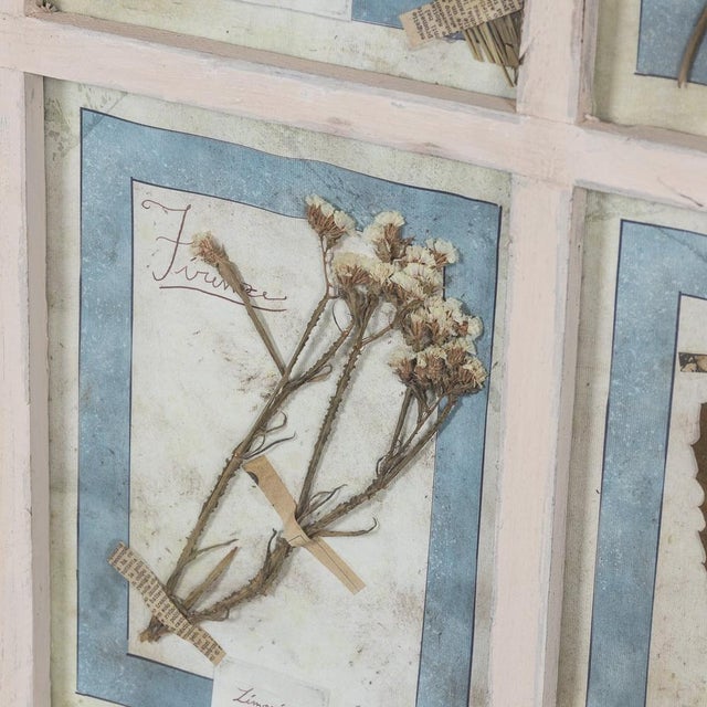 Large Italian Oak Frame Containing Pressed Flowers and Herbs, 1980s For Sale - Image 4 of 18