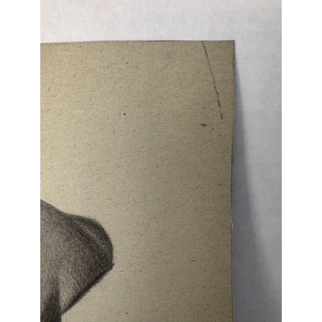 1940s Original Signed Graphite Illustration of Terrier Dog Portrait, 12 × 9 In. For Sale - Image 4 of 6