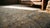 Beautiful Gray Background Color With a Foliate Pattern Antique Persian Mohtasham Kashan Rug For Sale - Image 15 of 15