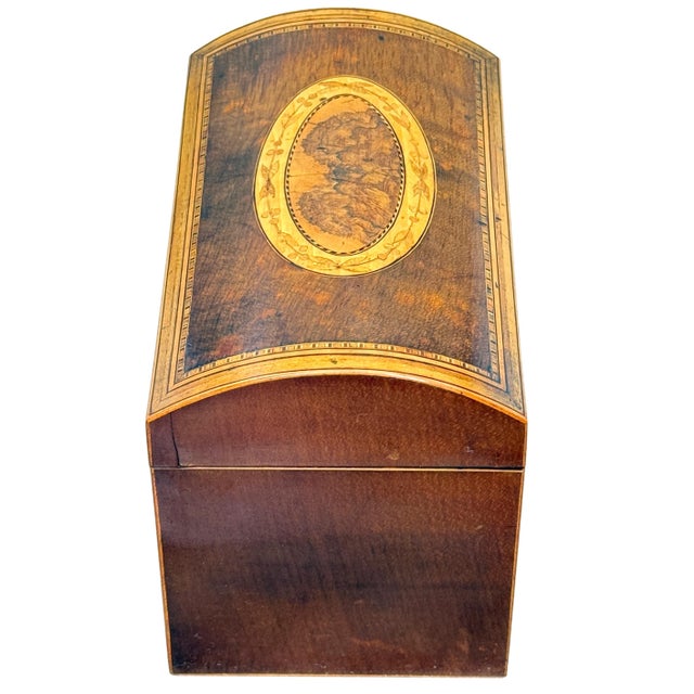 18th Century George III Harewood and Black Thorn Tea Caddy, 1790 For Sale - Image 6 of 9