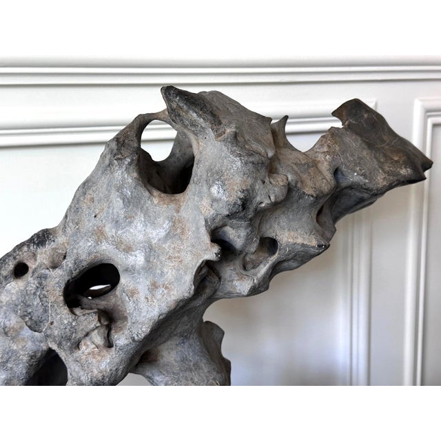 Extraordinary Chinese Taihu Scholar Stone Rare Form on Display Stand For Sale - Image 15 of 18