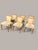 Model 345 Dining Chairs by by Bruno Paul for VEB Deutsche Werkstätten Hellerau, 1935, Set of 6 For Sale - Image 3 of 8