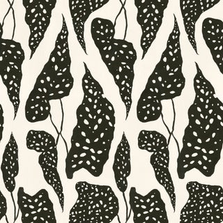 Sample - Begonia Wallpaper by Susan Hable in Black on Cream For Sale