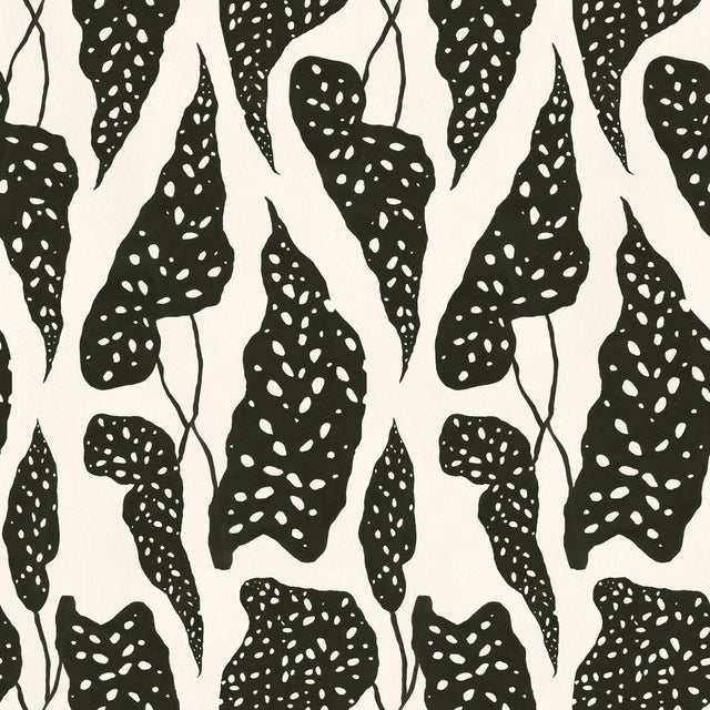 Sample - Begonia Wallpaper by Susan Hable in Black on Cream For Sale