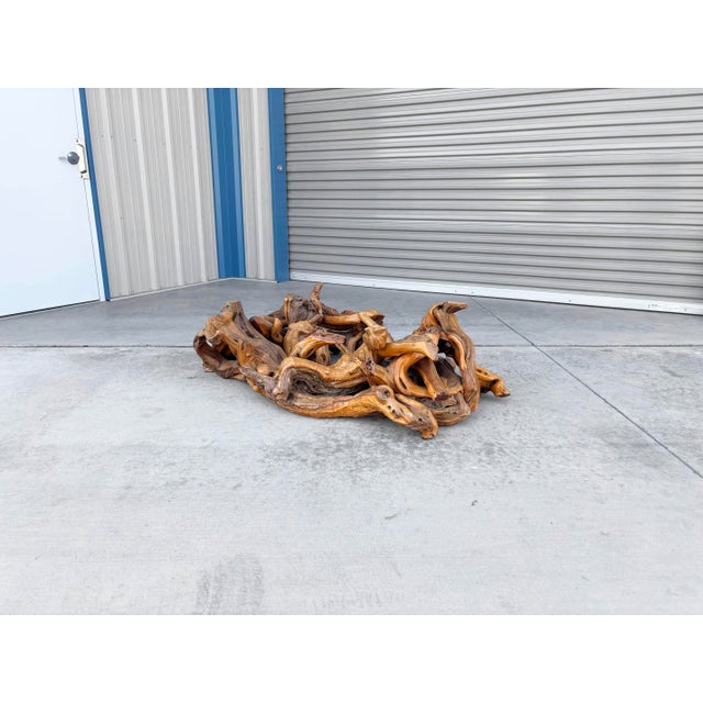 1960s Mid-Century Modern Driftwood Coffee Table With Freeform Glass Top For Sale - Image 14 of 15