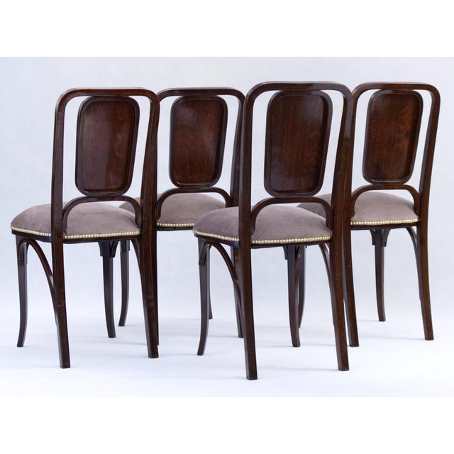 1900 - 1909 Art Noveau Bentwood Chairs from Thonet, 1905, Set of 4 For Sale - Image 5 of 11