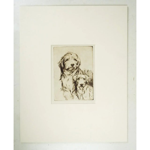English Early 20th Century Sheepdog and Terrier Etching For Sale - Image 3 of 3