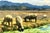 On offer is an original oil painting titled "Borregos Pastando" or Grazing Sheep, by the listed Mexican artist Austreberto...