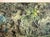 Green Vintage Forest Gouache Painting For Sale - Image 8 of 14