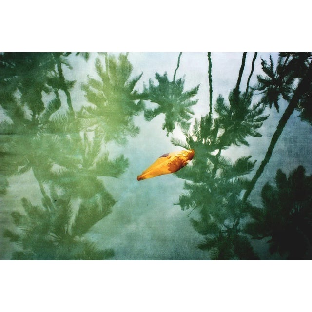 Yellow Leaf ' Oversize Archival Pigment Print - Signed Limited Edition Fine Art photograph of a single leaf floating on...