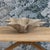 Mid-Century Modern Midcentury Swiss Willy Guhl Planter For Sale - Image 3 of 12