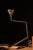 Mid 20th Century Vintage Ajusco-Loc Articulated Task Lamp For Sale - Image 5 of 9