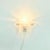 1970s Mid-Century Murano Glass Wall Sconce, 1970s For Sale - Image 5 of 9