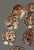 Vintage Nautical Sea Life Table Decor Seven Tiger Cowrie Shell Napkin Rings For Sale - Image 4 of 7
