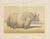 Borie, Male Yak, from Borie's Farm Animals, 1863, Chromolithograph For Sale - Image 9 of 9