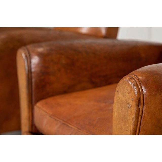 English Tan Leather Club Armchairs, 1920, Set of 2 For Sale - Image 12 of 17