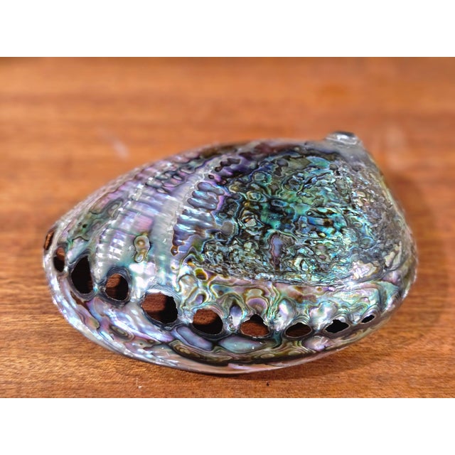 Hollywood Regency Large Vintage Natural Abalone Shell – Iridescent Mother-of-Pearl – 1980s For Sale - Image 3 of 5