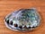 Hollywood Regency Large Vintage Natural Abalone Shell – Iridescent Mother-of-Pearl – 1980s For Sale - Image 3 of 5