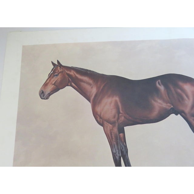 Brown Darol Dickinson's Limited Edition Print Color of Horses / Mahogany Bay-Thoroughbred Signed Vtg For Sale - Image 8 of 11