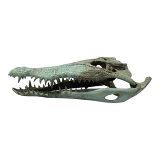 Life Sized Cast Bronze Crocodile Skull Sculpture, Patina Finish For Sale