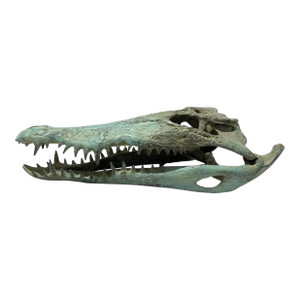 Life Sized Cast Bronze Crocodile Skull Sculpture, Patina Finish