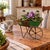 A wonderful vintage-style miniature metal wheelbarrow to use as a tabletop or garden accent piece for holding potted...