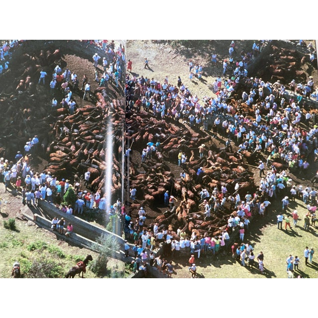 Over Europe Book by Jan Morris For Sale In Palm Springs - Image 6 of 13