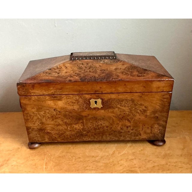 Chocolate Vintage Burl and Brass Decorative Box For Sale - Image 8 of 13