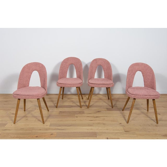 Dining Chairs by Antonín Šuman for Tatra, 1960s, Set of 4 For Sale - Image 6 of 18