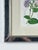 1970s Vintage Trowbridge Custom Framed Botanical Print “Cosmanthus Grandiflorus” After Louis Van Houtte (1810–1876) For Sale - Image 5 of 10