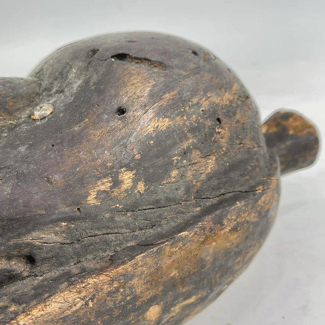 Early 20th Century Fang Reliquary Head Gabon For Sale - Image 12 of 13