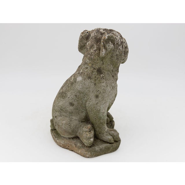 English Composite Stone Bull Dog Garden Ornaments, England 1970s For Sale - Image 3 of 7