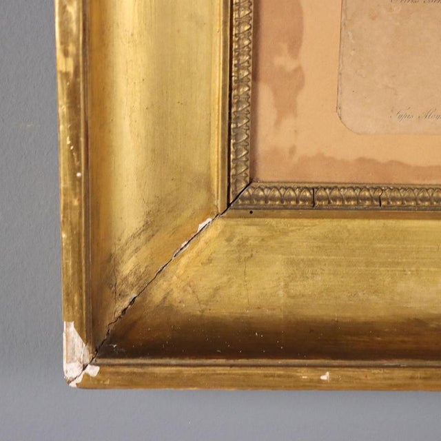 Empire Frame in Golden Fir For Sale - Image 6 of 11
