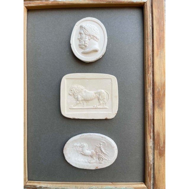 Gray Italian Plaster Intaglios in 1880s Pine Frame For Sale - Image 8 of 8