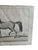 Framed Early 18th Century Bernard Picard Horse Engraving - “Le Turc” For Sale In New York - Image 6 of 7