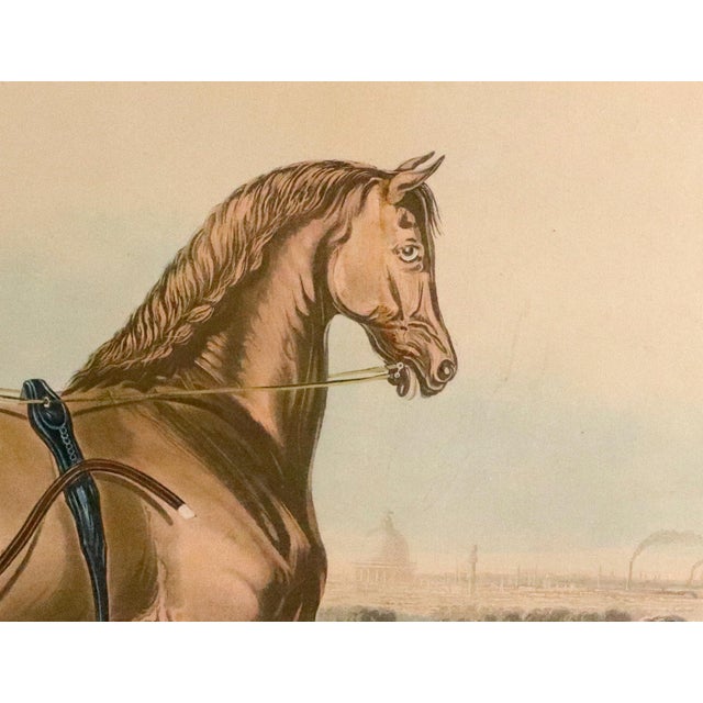 A Very Large Hand-Coloured Aquatint of The Celebrated Trotting Stallion Artaxerxes After Francis Calcraft Turner (c....