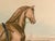 A Very Large Hand-Coloured Aquatint of The Celebrated Trotting Stallion Artaxerxes After Francis Calcraft Turner (c....