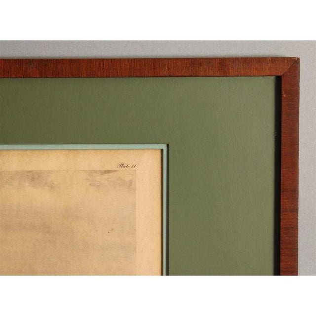 Brown Franklin Brooke Voss X Discovery 1936 Chromolithograph Limited Edition 197/260 Plate 11 For Sale - Image 8 of 8