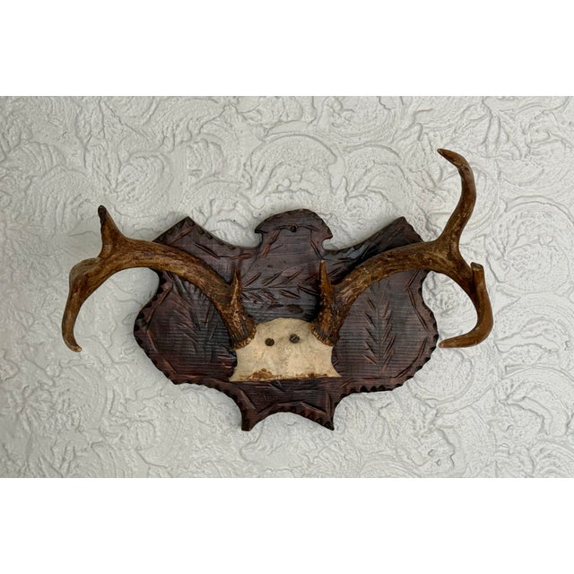 Wood Early 20th Century Black Forest Style Deer Antler Trophy on Carved Shield Plaque For Sale - Image 7 of 7