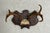 Wood Early 20th Century Black Forest Style Deer Antler Trophy on Carved Shield Plaque For Sale - Image 7 of 7
