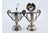 Silver Mustard Pots in Embossed Silver with Palms, Glass Cores and Resting on Claw-Shaped Feet, Set of 2 For Sale - Image 8 of 9