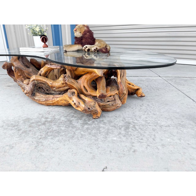 Yellow 1960s Mid-Century Modern Driftwood Coffee Table With Freeform Glass Top For Sale - Image 8 of 15