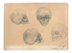 Petite Fille - Original Pencil Drawing by an Unknown French Artist - 1905 1905