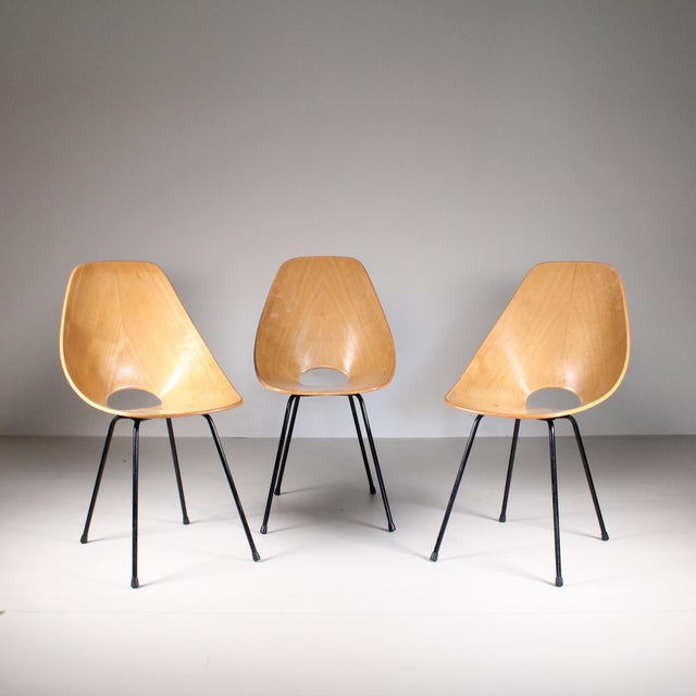 Vintage Medea Chairs by Vittorio Nobili for Fratelli Tagliabue, Set of 3 For Sale - Image 10 of 12