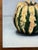 2000 - 2009 Original Oil Painting on Board For Sale - Image 5 of 13