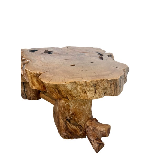 Vintage Organic Modern Two-Tier Live Edge Wood Coffee Table For Sale - Image 11 of 18
